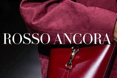 gucci zwarte coltrui|gucci rosso ancora.